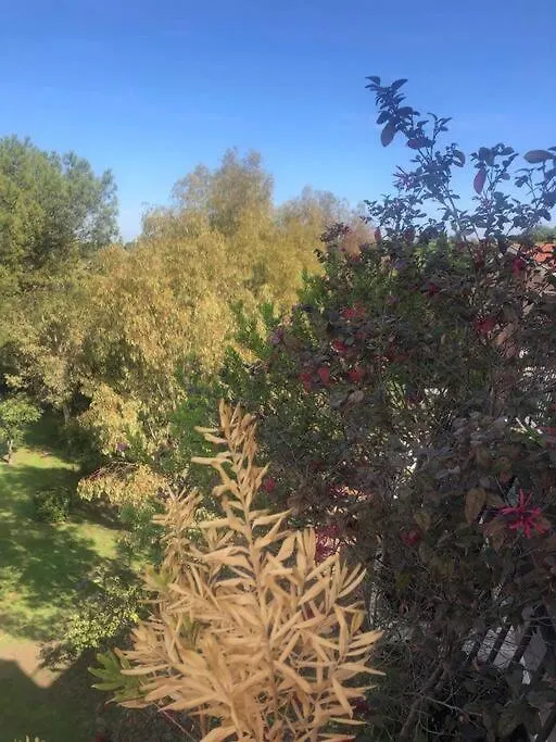 Casa Incantevole Con Vista Parco Appia Antica Villa Roma Casa vacanze